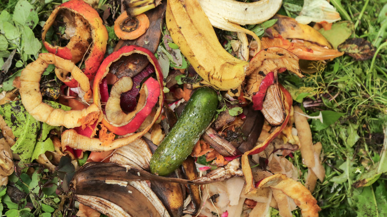 Pile of compost in garden