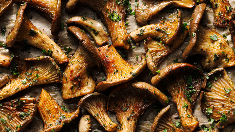 Grilled oyster mushrooms in a aromatic herb marinade, top view