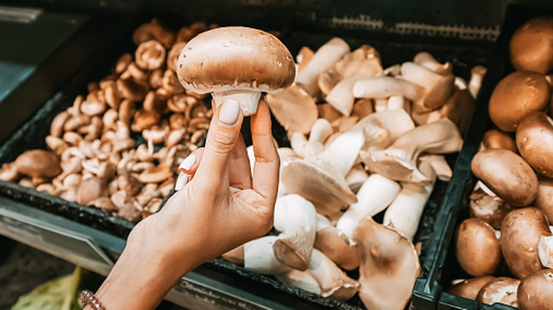 hand holding mushroom in front of grocery store shelf