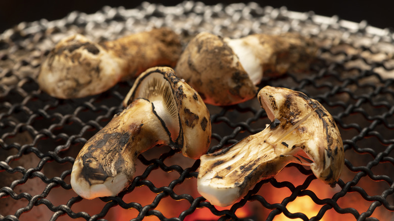 Charcoal-grilled matsutake mushrooms