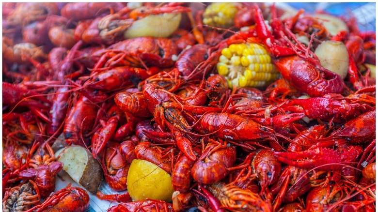 Tons of bright red crawfish piled up with half cobs of corn and sliced potatoes mixed in