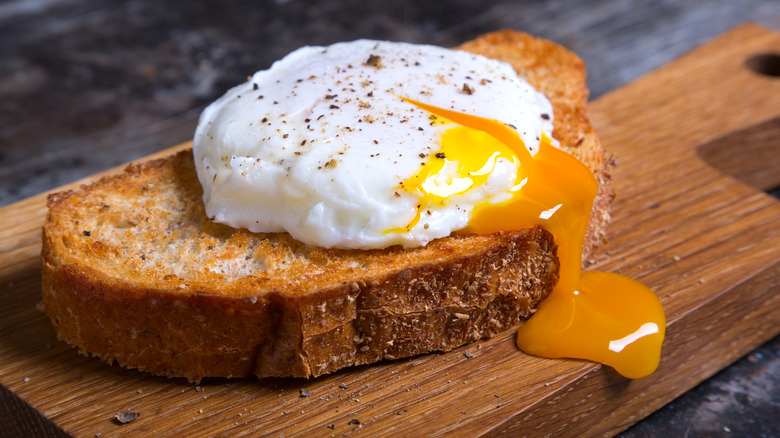 Poached egg on toast