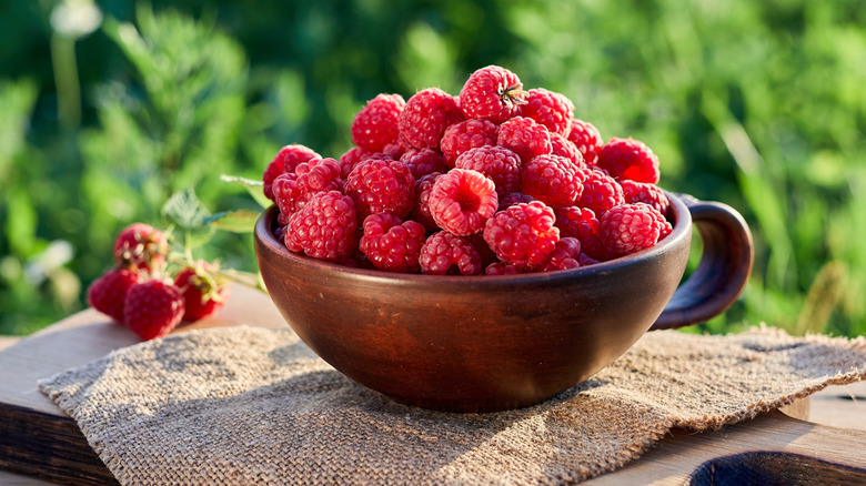 bowl of fresh raspberries in outdoor setting