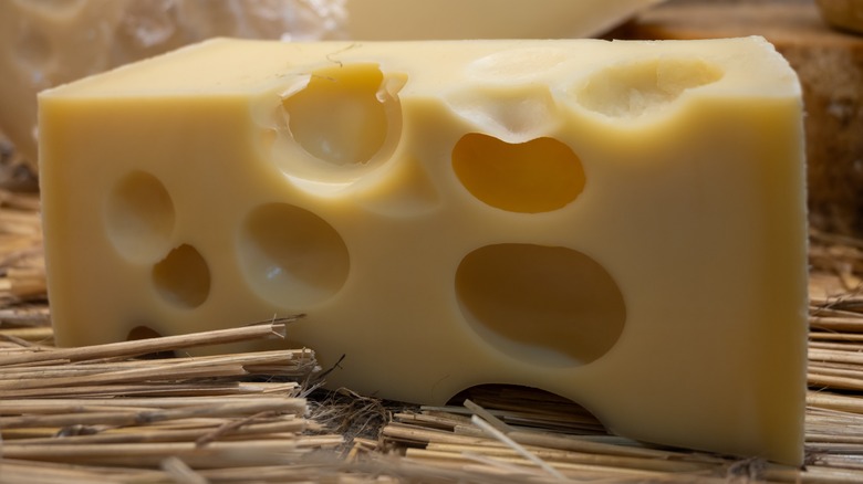 Large chunk of Swiss cheese with big holes