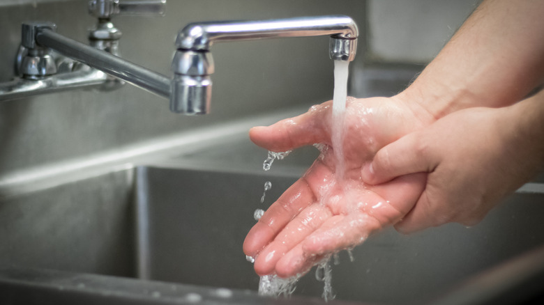 Person washing hands in restaurant sink