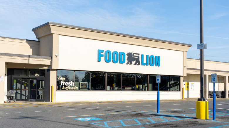 exterior of a Food Lion grocery store with parking lot
