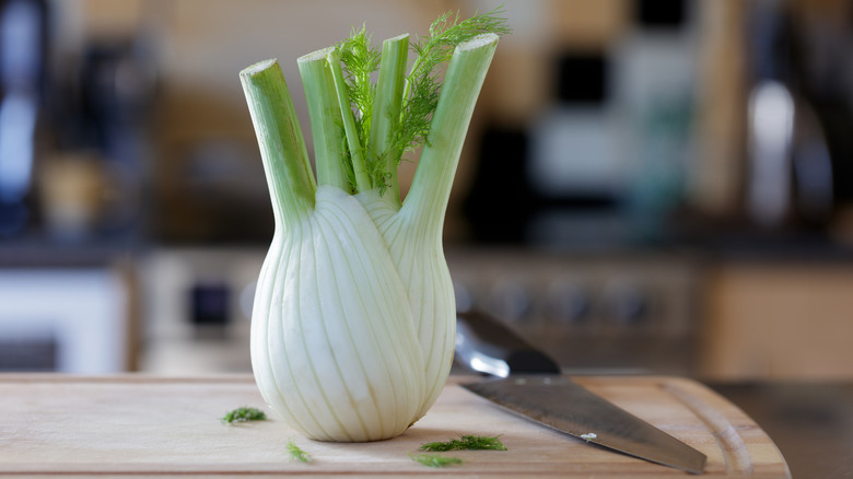 A large fennel bulb on a kitchen cutting board