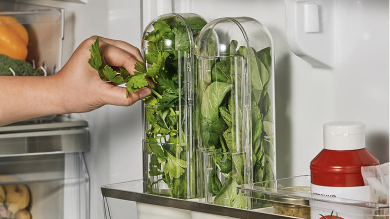 Clear topped storage containers for herbs with a person plucking some parsley