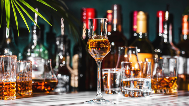 Italian liqueur in glass and bottles of strong drinks on dark green background.