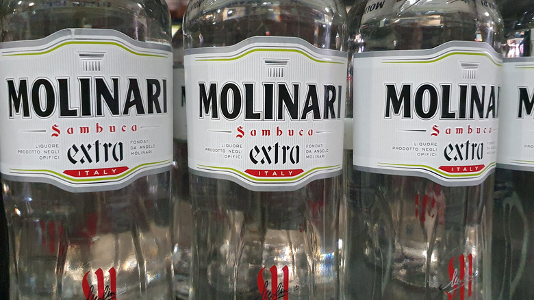 Close-up of Molinari Extra sambuca labels, three bottles in a row on a shelf.