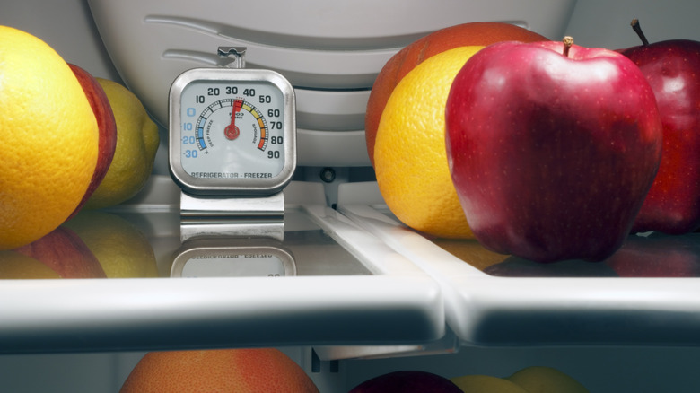 Thermometer on refrigerator shelf with fruit