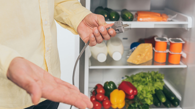 Man holding power cord in front of a refrigerator