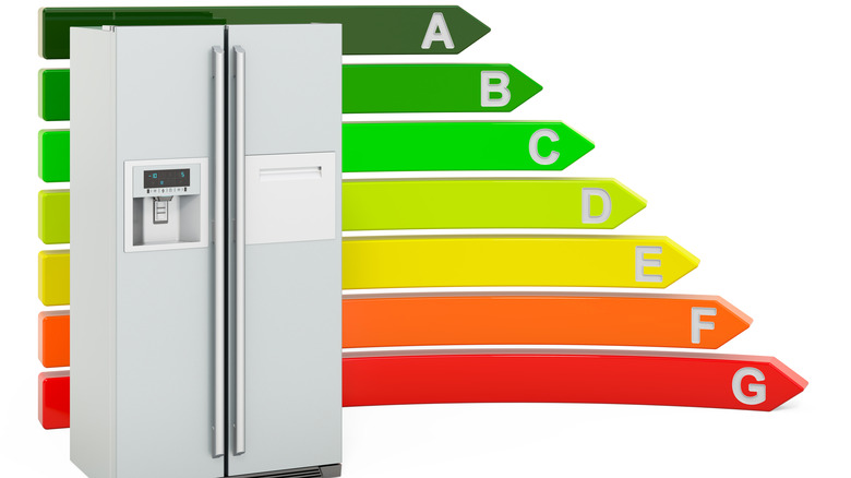 Refrigerator with energy efficient scores behind it