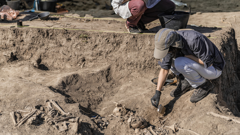 Archeologists inspecting bones at a site