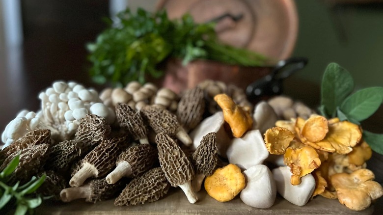 Assorted wild mushrooms on a wooden board