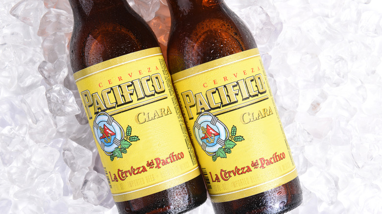 Two bottles of Pacifico on ice