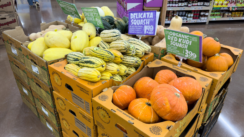 Delicata, butternut, red kuri, and spaghetti squashes for sale at Trader Joe's