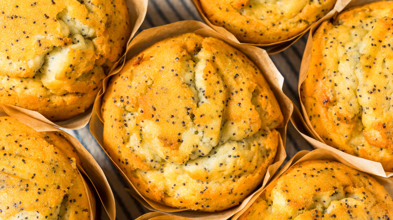 Close up, top view of a batch of lemon poppy seed muffins