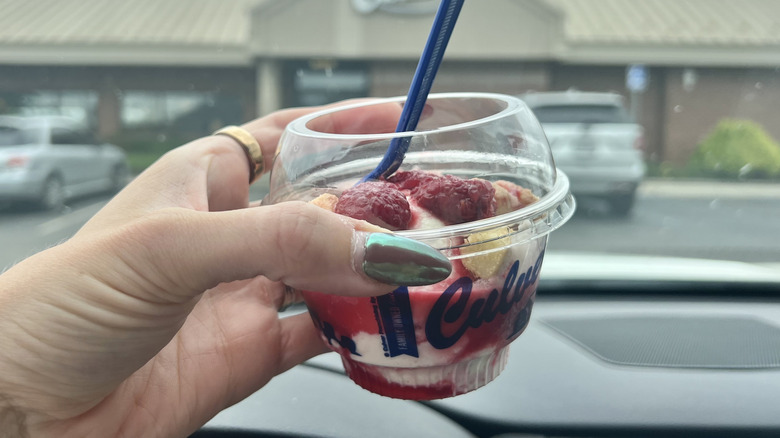 Culver's Raspberry Cheesecake Flavor of the Day in a dish.
