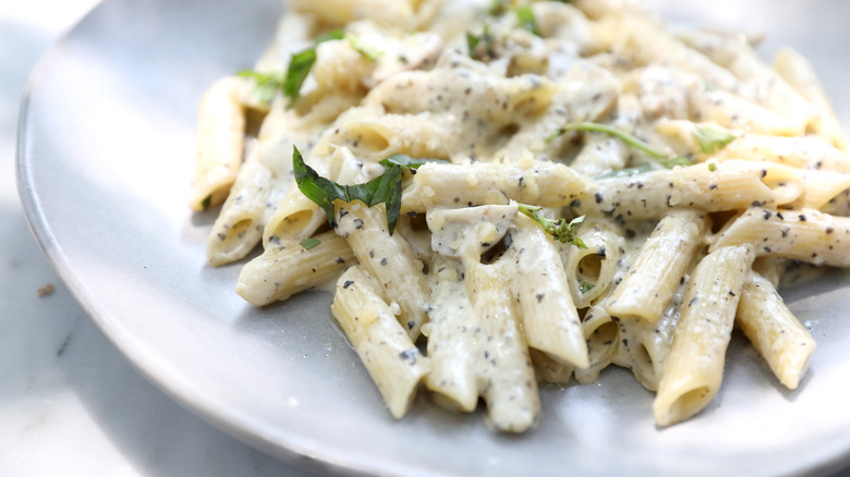 Penne pasta with white sauce