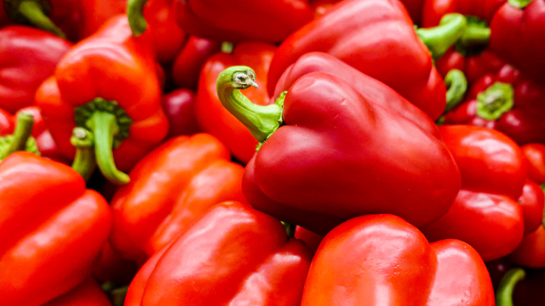 Bundle of whole red peppers with stems