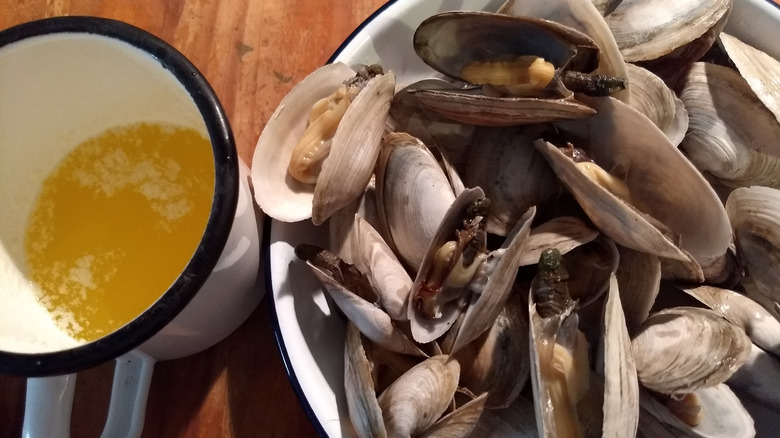 Bowl of soft shell clams with melted butter
