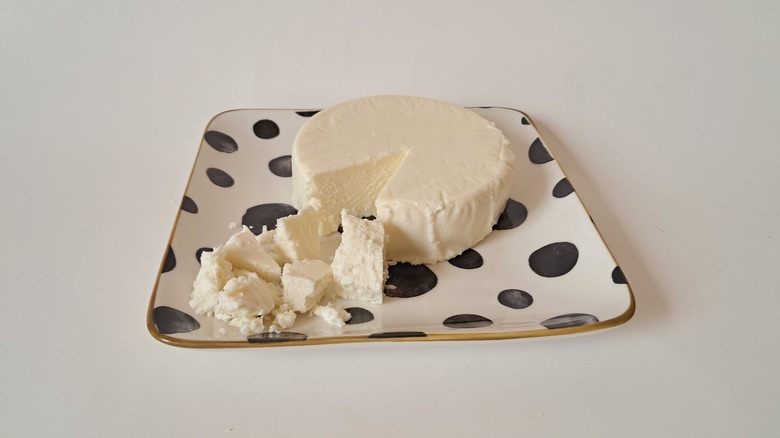 Queso fresco cheese on plate