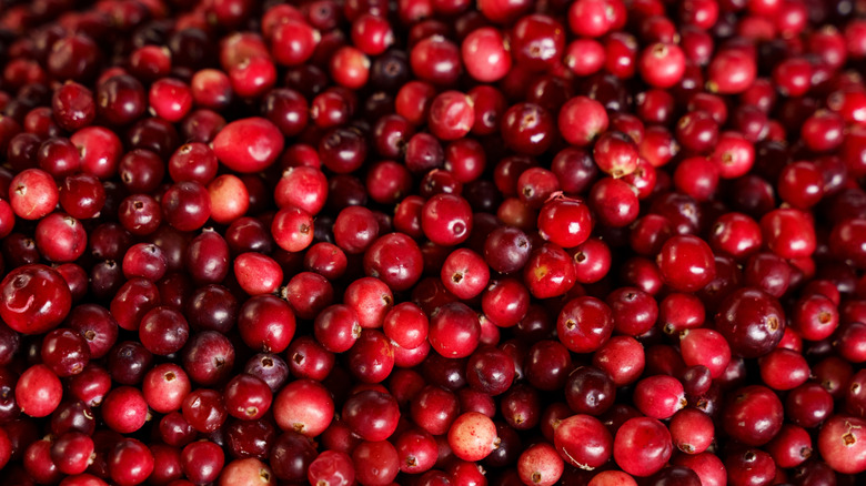 Fresh cranberries in varying shades of red