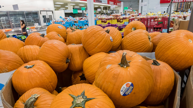 Pumpkins in bulk box at Costco