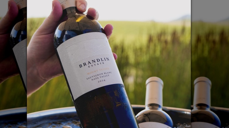 Hand pulling a bottle of Brandlin Mount Veeder Sauvignon Blanc from an ice bucket