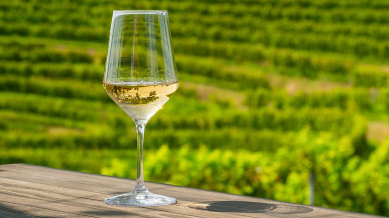 White wine glass in a vineyard