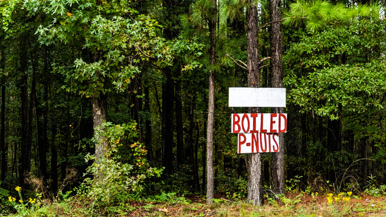 Boiled P-Nuts sign in Georgia woods.