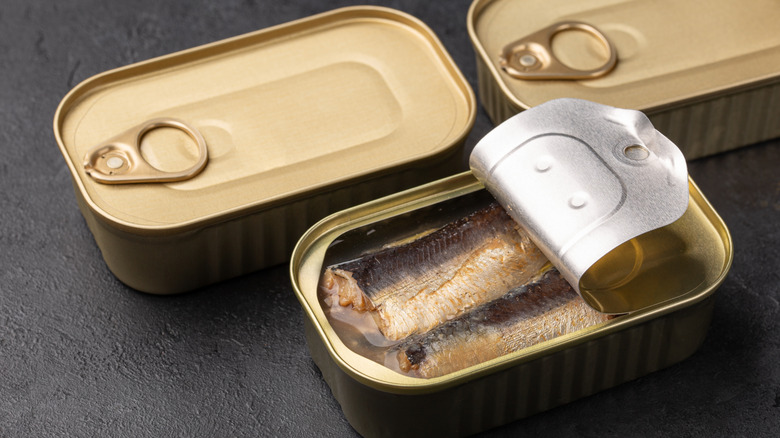 Tin of fish on gray background