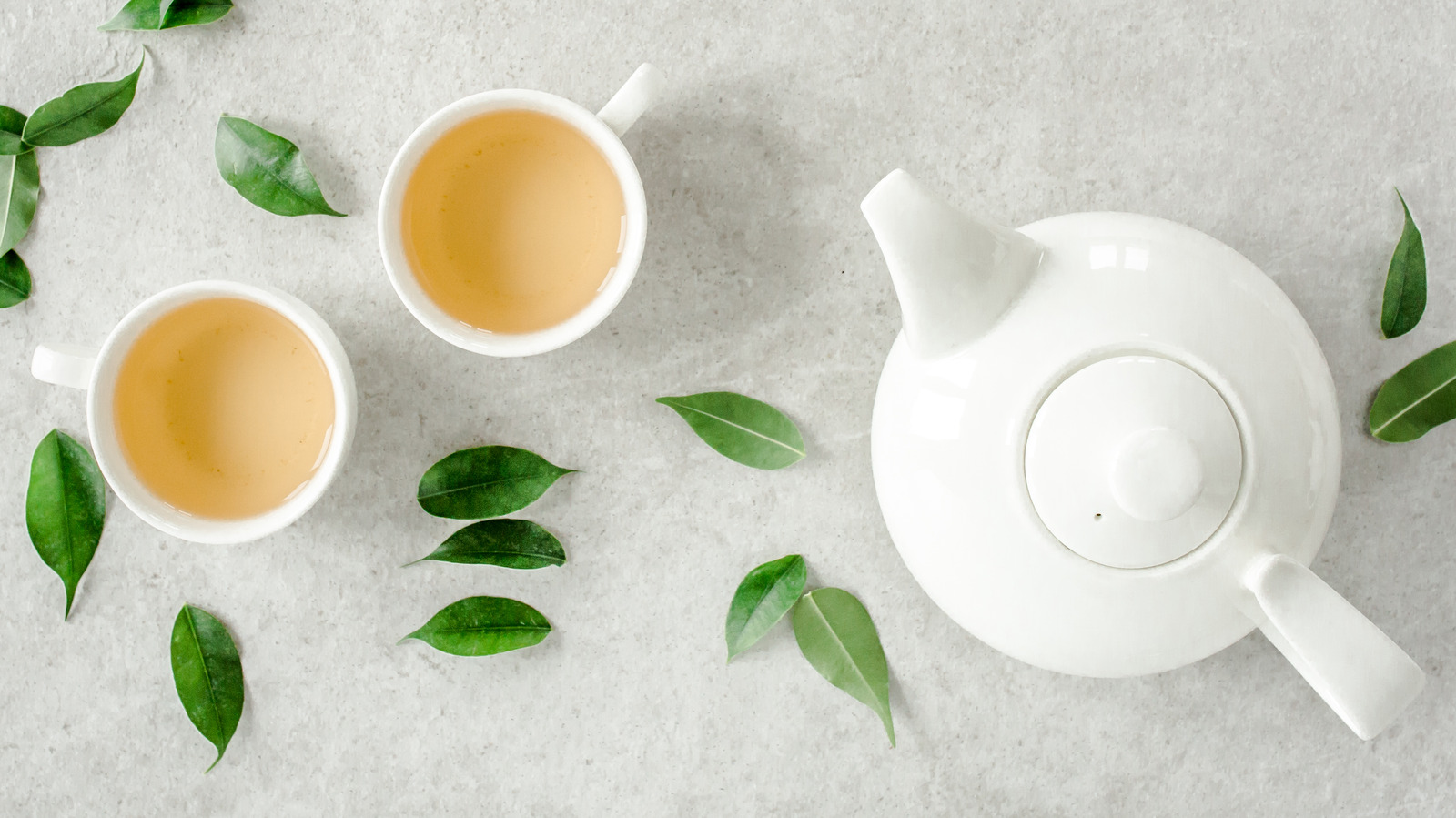 12 Popular Tea Brands With Compostable Bags