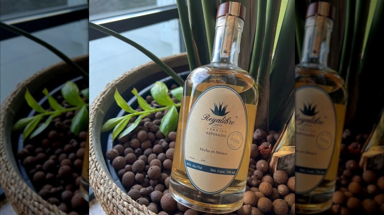 Bottle of Reyalibre resting on plant