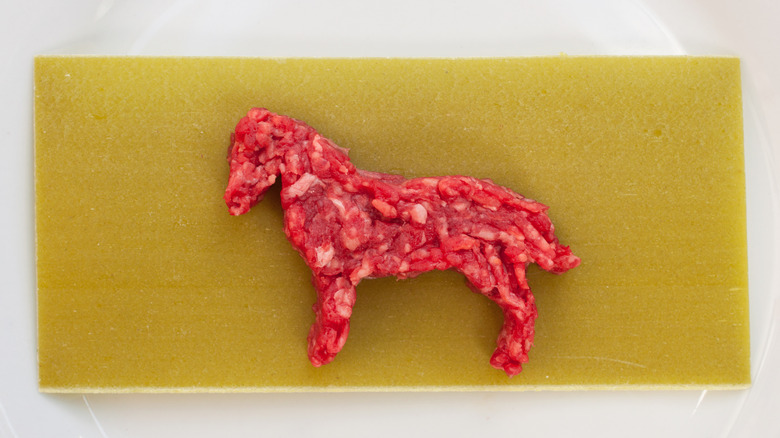 A piece of mince shaped like a horse on top of a sheet of dry lasagne