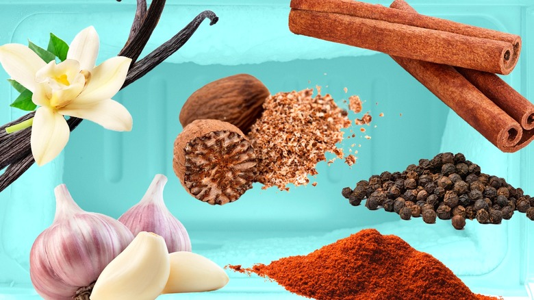 Variety of different spices