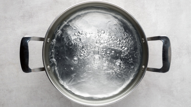 Water boiling in pot