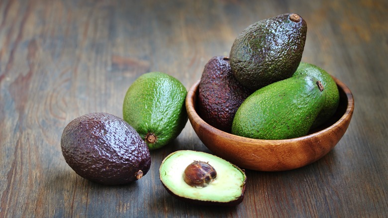 avocado varieties 