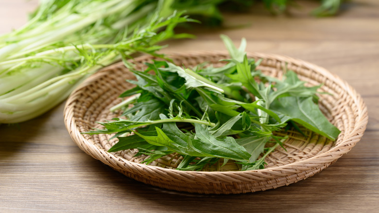 mizuna leaves in basket with whole plant in background