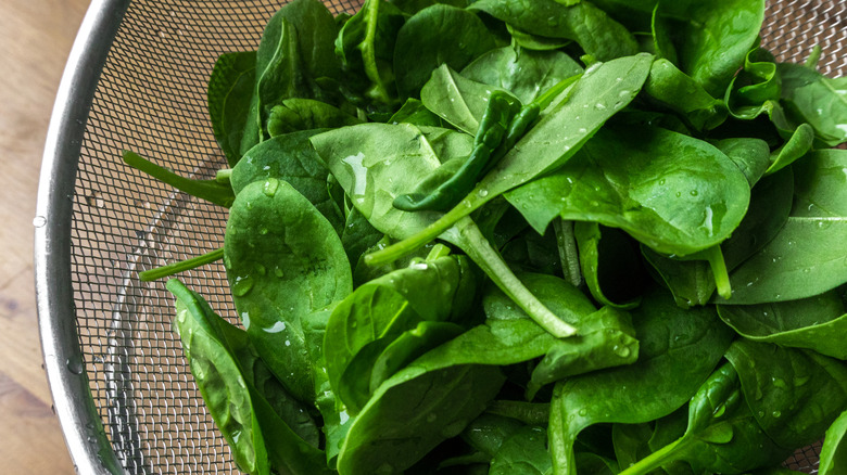 washed baby spinach in colander