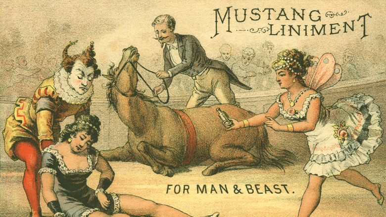 Vintage ad for Mustang Liniment