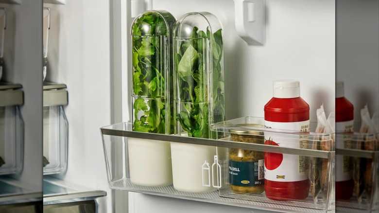 Two plastic herb containers in the fridge door
