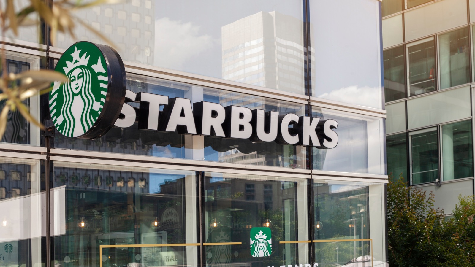 13 Best Starbucks Drinks For Vegans