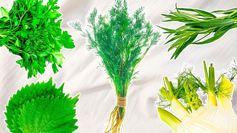 composite image of fresh herbs