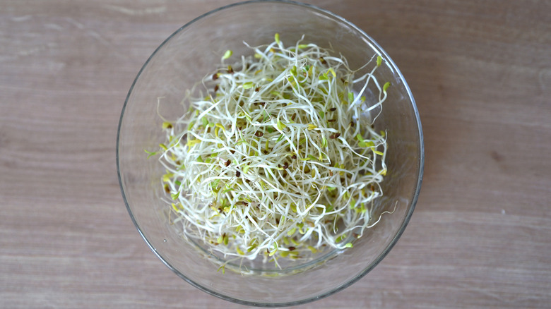 Alfalfa sprouts in a glass bowl on a wooden table