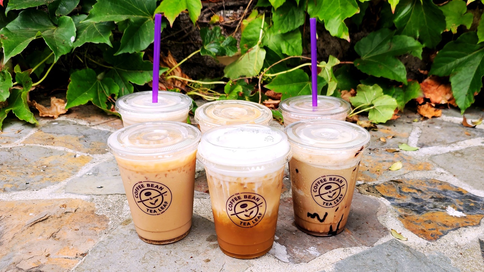 Caramel Cold Brew Latte  The Coffee Bean & Tea Leaf