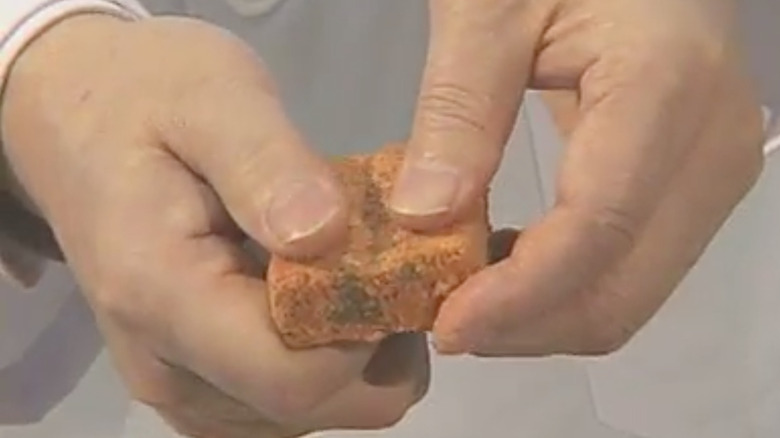 South Korean food scientist holding block of dehydrated kimchi
