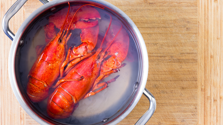 Two red lobsters in pot