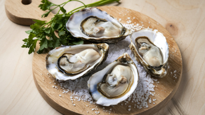 Fresh oysters on the half shell on round wooden board